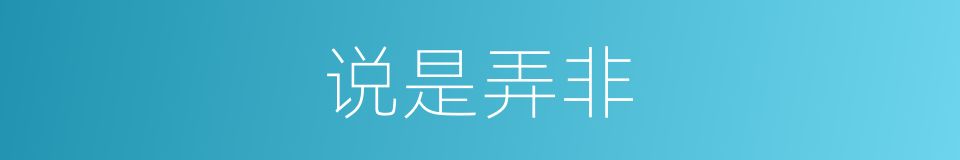 说是弄非的意思