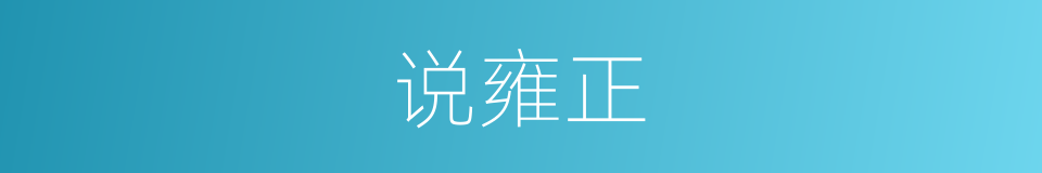 说雍正的同义词