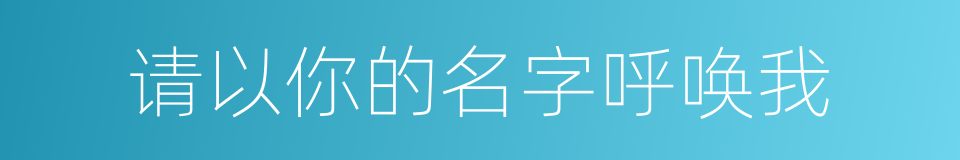 请以你的名字呼唤我的同义词