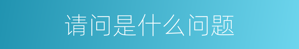 请问是什么问题的同义词