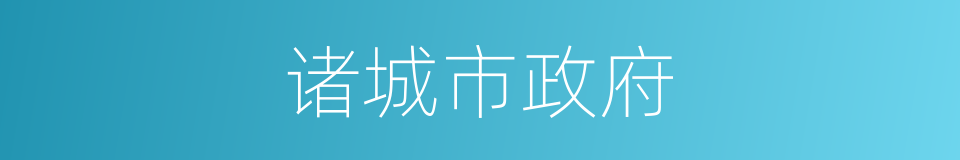 诸城市政府的同义词