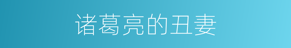 诸葛亮的丑妻的同义词