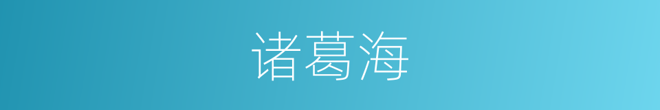 诸葛海的同义词
