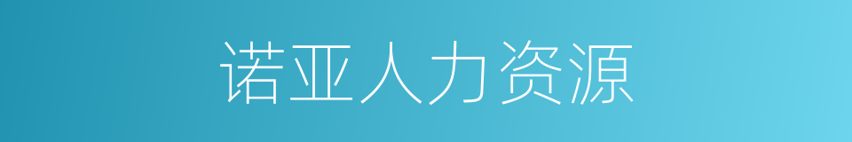 诺亚人力资源的同义词