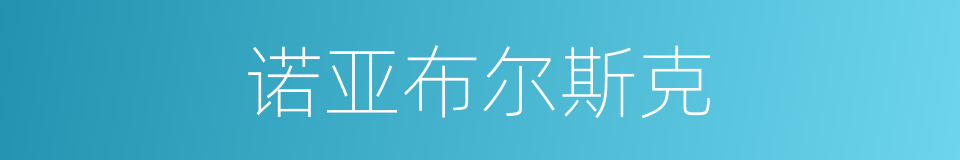 诺亚布尔斯克的同义词