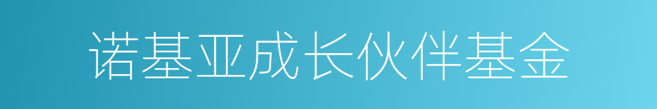 诺基亚成长伙伴基金的同义词