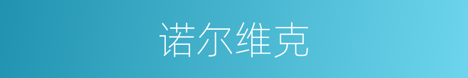诺尔维克的同义词