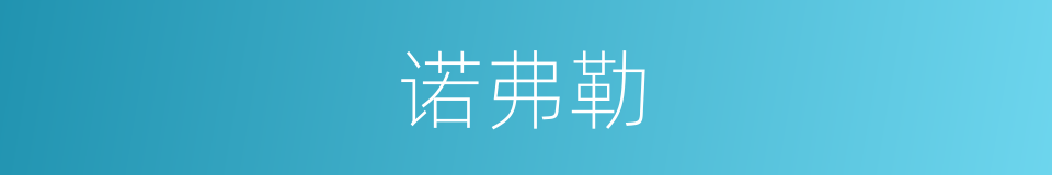 诺弗勒的同义词