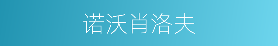 诺沃肖洛夫的同义词