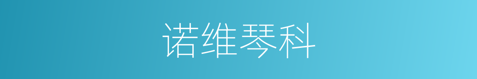 诺维琴科的同义词