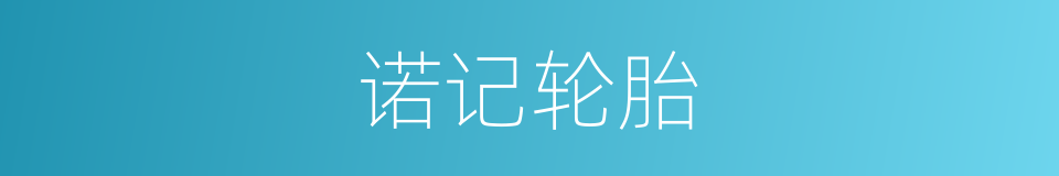诺记轮胎的同义词