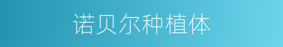 诺贝尔种植体的同义词