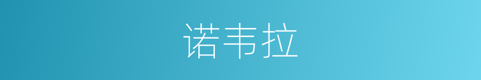 诺韦拉的同义词