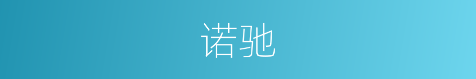 诺驰的同义词
