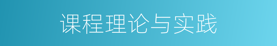 课程理论与实践的同义词