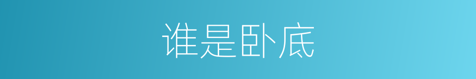 谁是卧底的意思