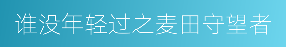 谁没年轻过之麦田守望者的同义词