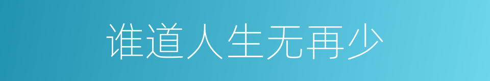 谁道人生无再少的同义词