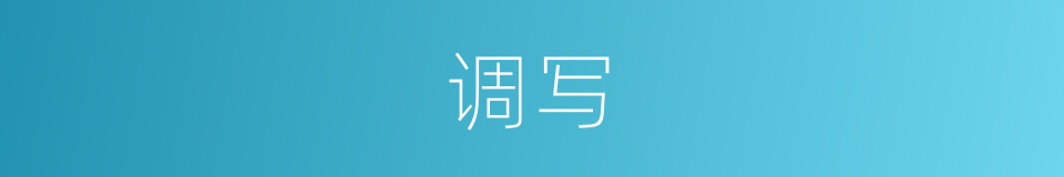 调写的同义词