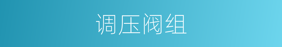 调压阀组的同义词