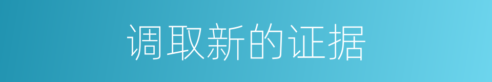 调取新的证据的同义词