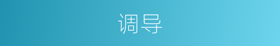调导的同义词