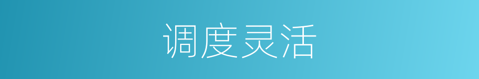 调度灵活的同义词