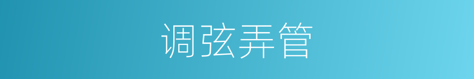 调弦弄管的同义词