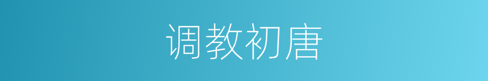 调教初唐的同义词
