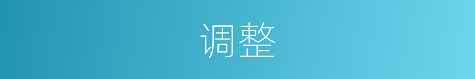 调整的意思