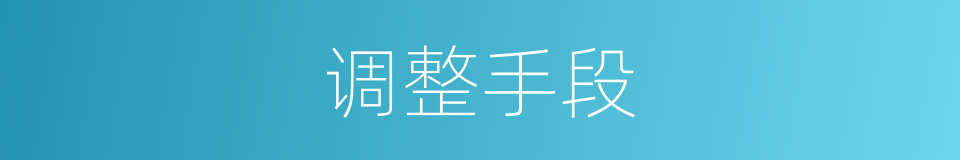 调整手段的同义词