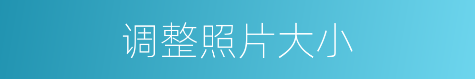 调整照片大小的同义词