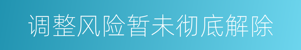 调整风险暂未彻底解除的同义词