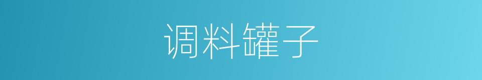 调料罐子的同义词