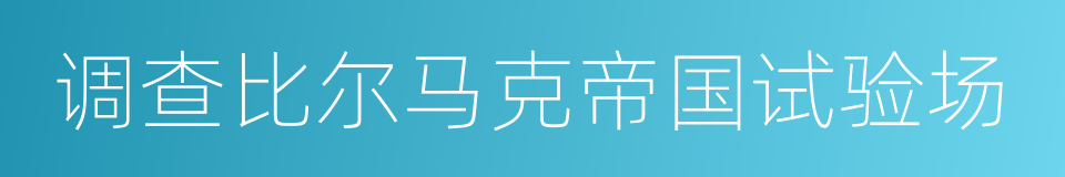 调查比尔马克帝国试验场的同义词