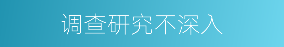 调查研究不深入的同义词