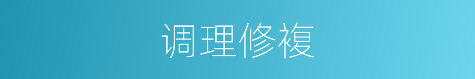 调理修複的同义词