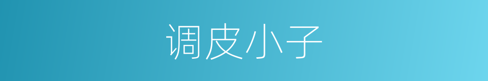 调皮小子的意思