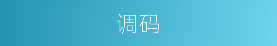 调码的同义词