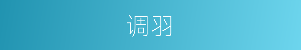 调羽的意思