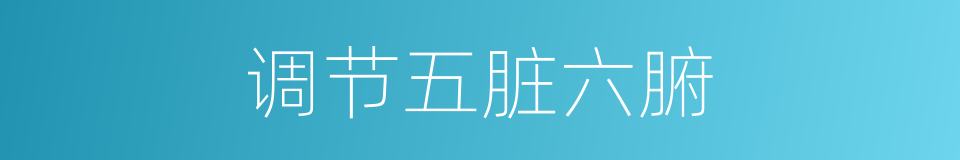 调节五脏六腑的同义词