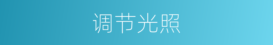 调节光照的同义词