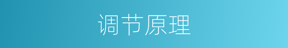 调节原理的同义词