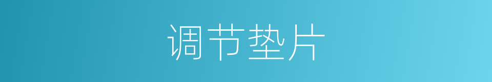 调节垫片的同义词