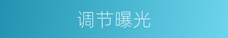 调节曝光的同义词
