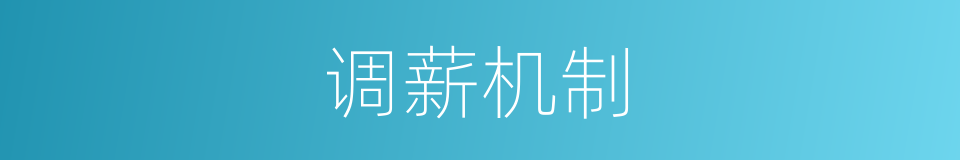 调薪机制的同义词