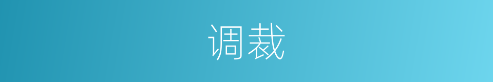 调裁的同义词