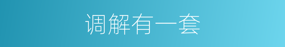 调解有一套的同义词