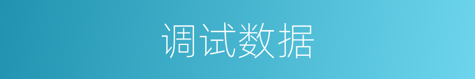 调试数据的同义词