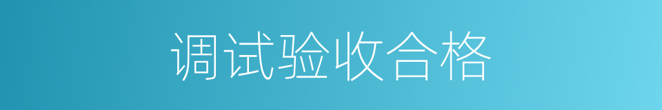 调试验收合格的同义词